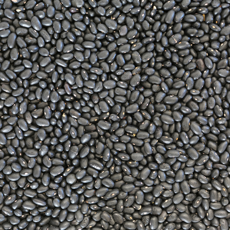 Zwarte bonen (bio) 400 gram