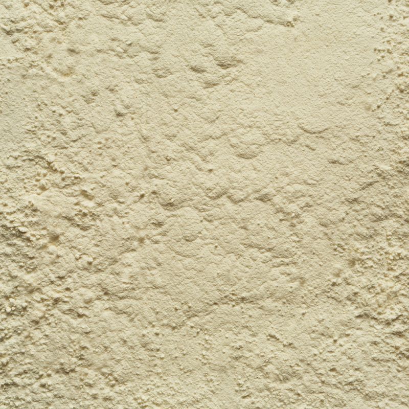 Tarwegluten 25 kg baal