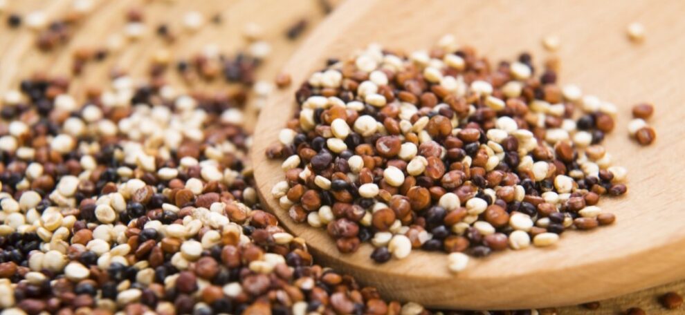 Quinoa – Veelzijdig en gezond!