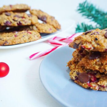 Cranberry havermout koekjes