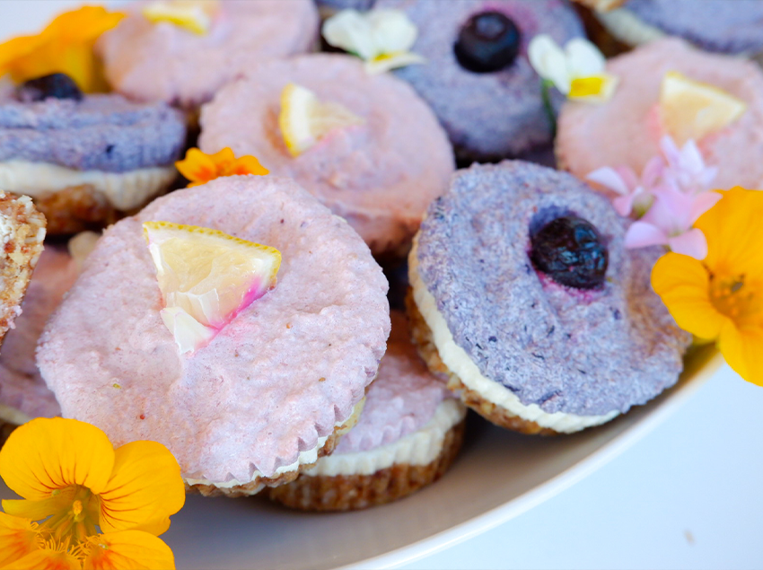 Vegan cheesecake bites