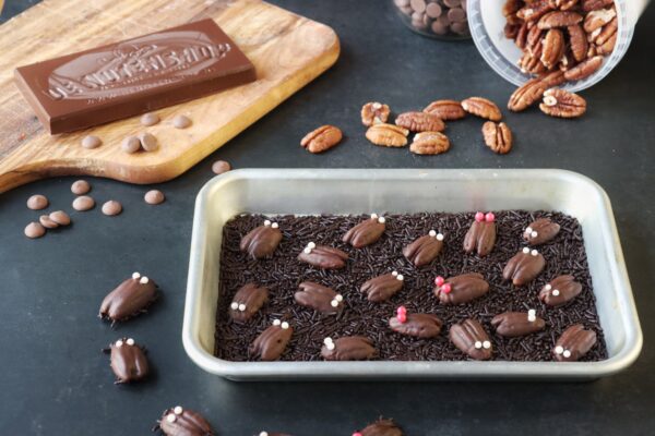 Chocolade pecan "krekels"